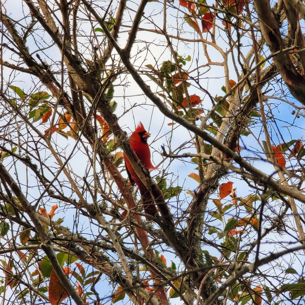 Thanks for checking me out - Happy Poshing!